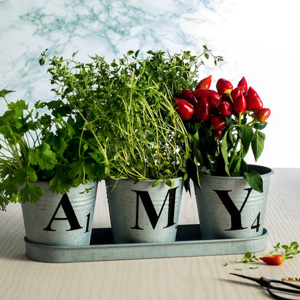 Personalised Galvanised Herb Garden Letter Planters