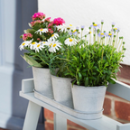 Personalised Galvanised Herb Garden Letter Planters