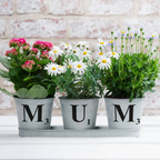 Personalised Galvanised Herb Garden Letter Planters