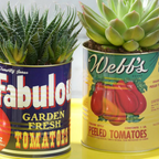 Vintage Planter & Storage Set of Retro Tomato Tins
