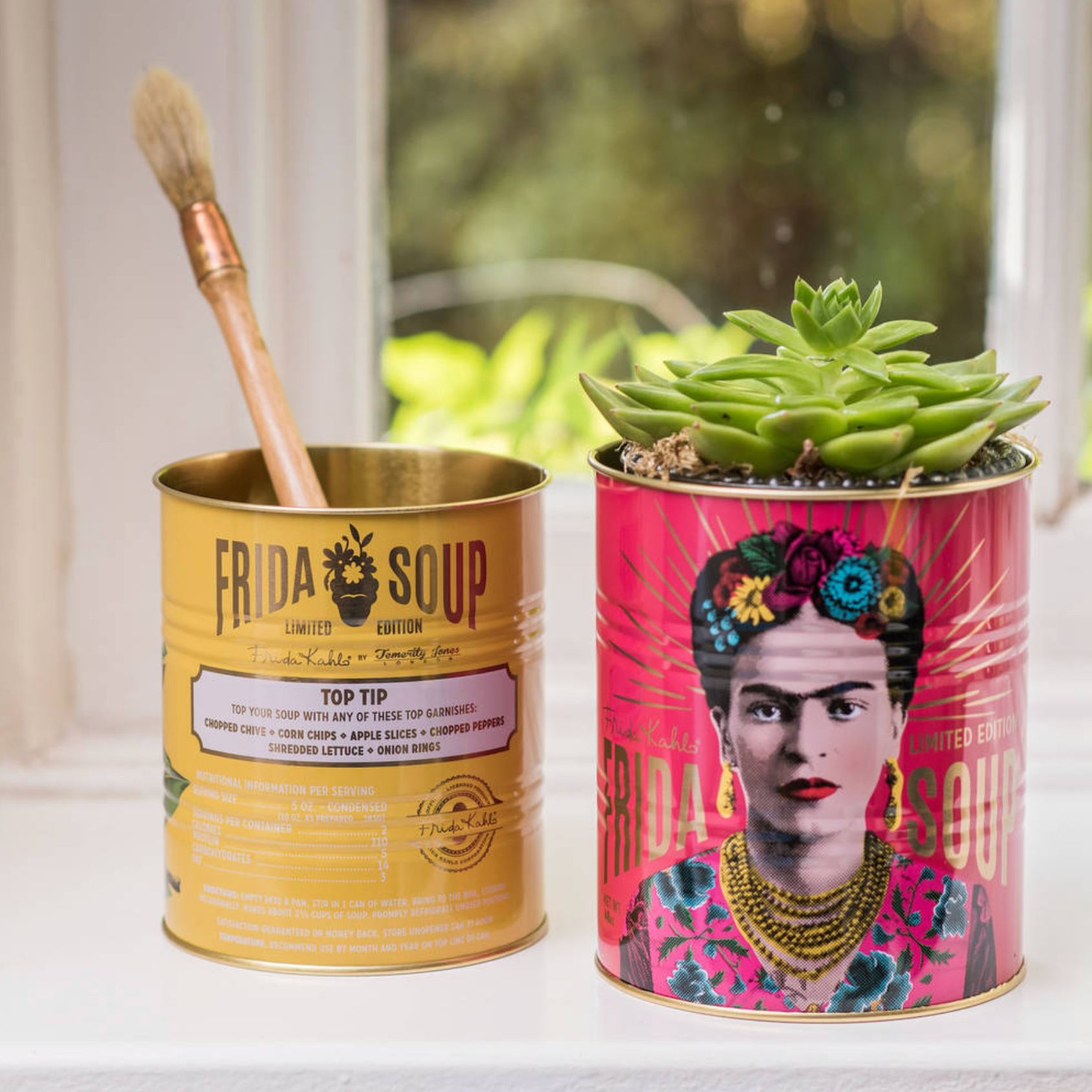 Set Planter & Storage Of Two Frida Kahlo Metal Tins