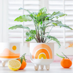 Hand Painted Rainbow Stoneware Planter Pot