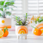 Hand Painted Rainbow Stoneware Planter Pot