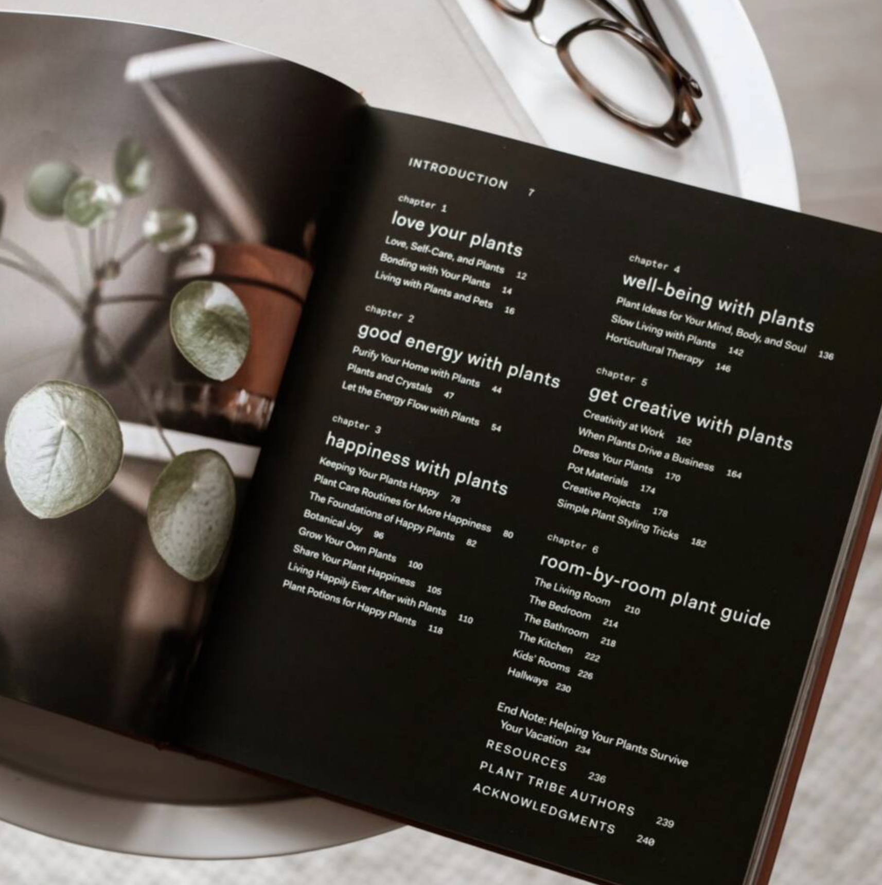 Plant Tribe Living Happily Ever After With Plants Book