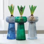Ribbed Glass Hyacinth Vase