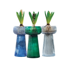 Ribbed Glass Hyacinth Vase
