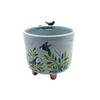 Gift Boxed Secret Garden Bird Planter