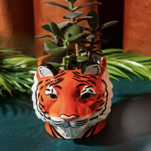 Ceramic Tiger Head Planter with succulent plant, close up shot