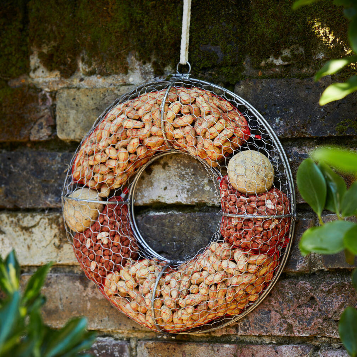 Bird Food Wreath hanging from a wooden fence post in a garden showing the full wreath packed with bird food