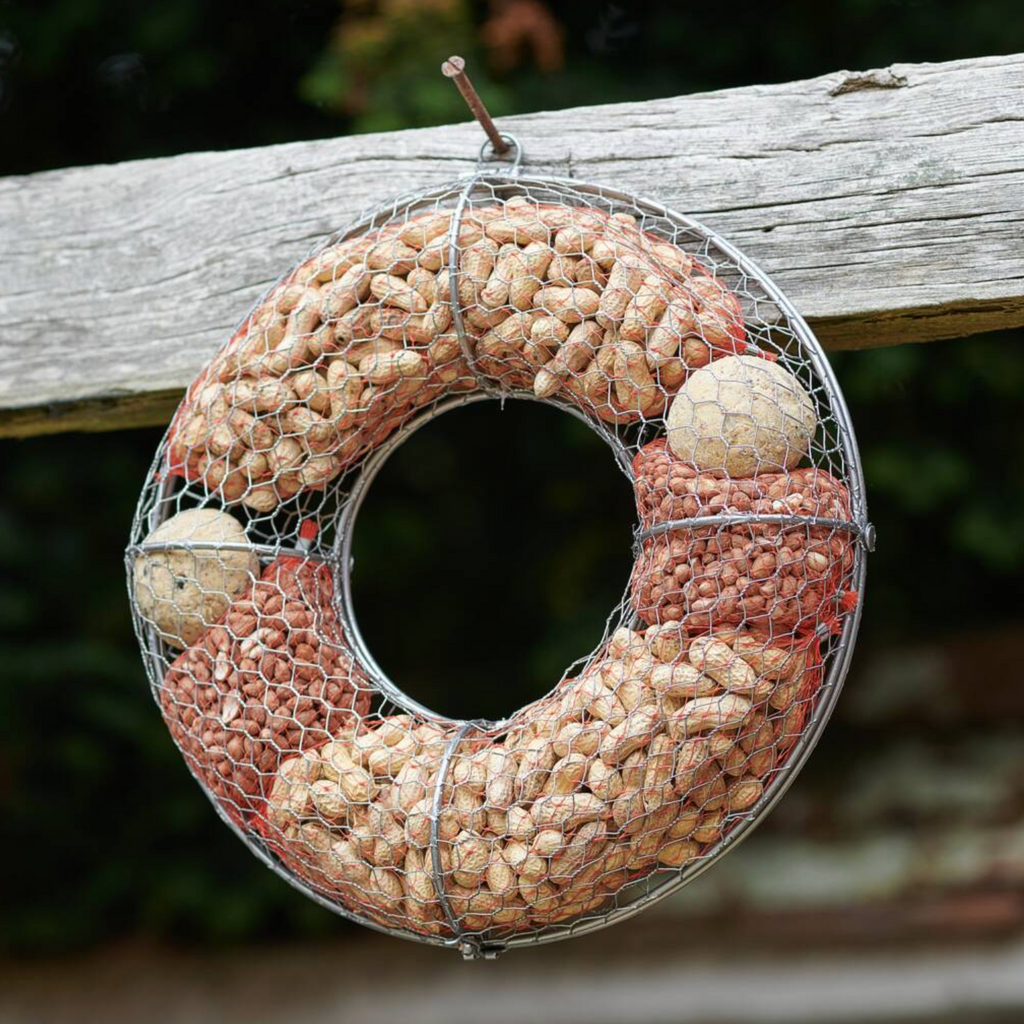 Bird Food Wreath hanging from a rope against a mossy stone wall in a garden with green foliage