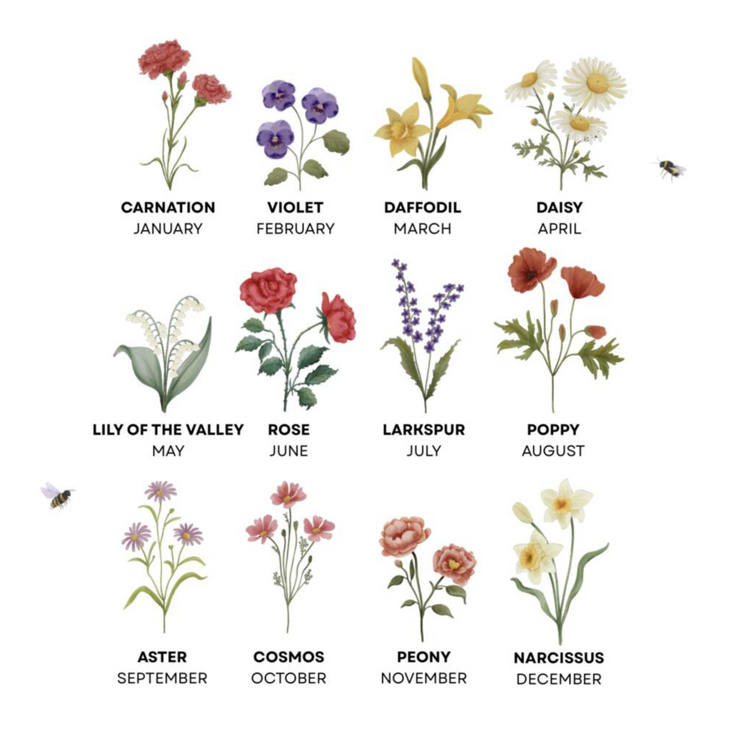 Birth flower chart showing all 12 months: Carnation January through to Narcissus December in watercolour illustration