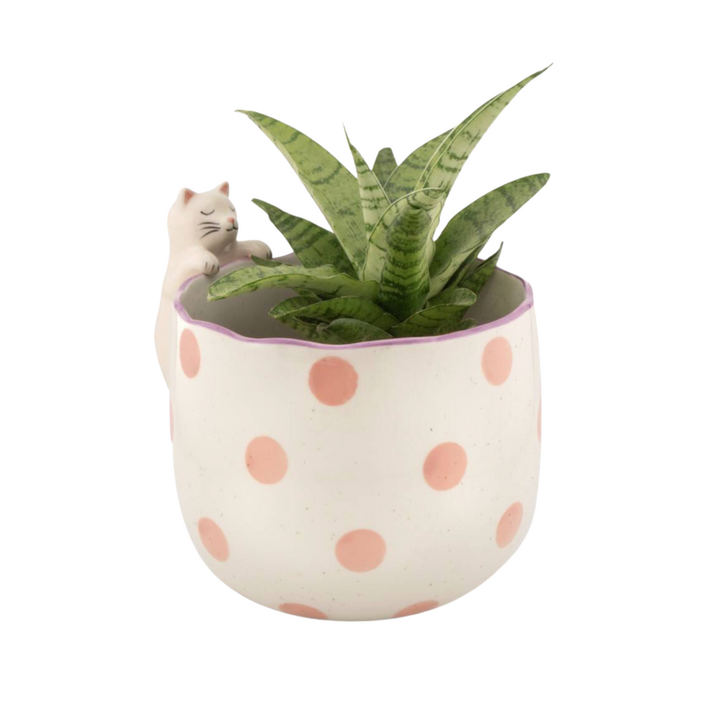 Spotty Peeking Cat Planter product listing screenshot showing price and product details