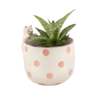 Spotty Peeking Cat Planter product listing screenshot showing price and product details