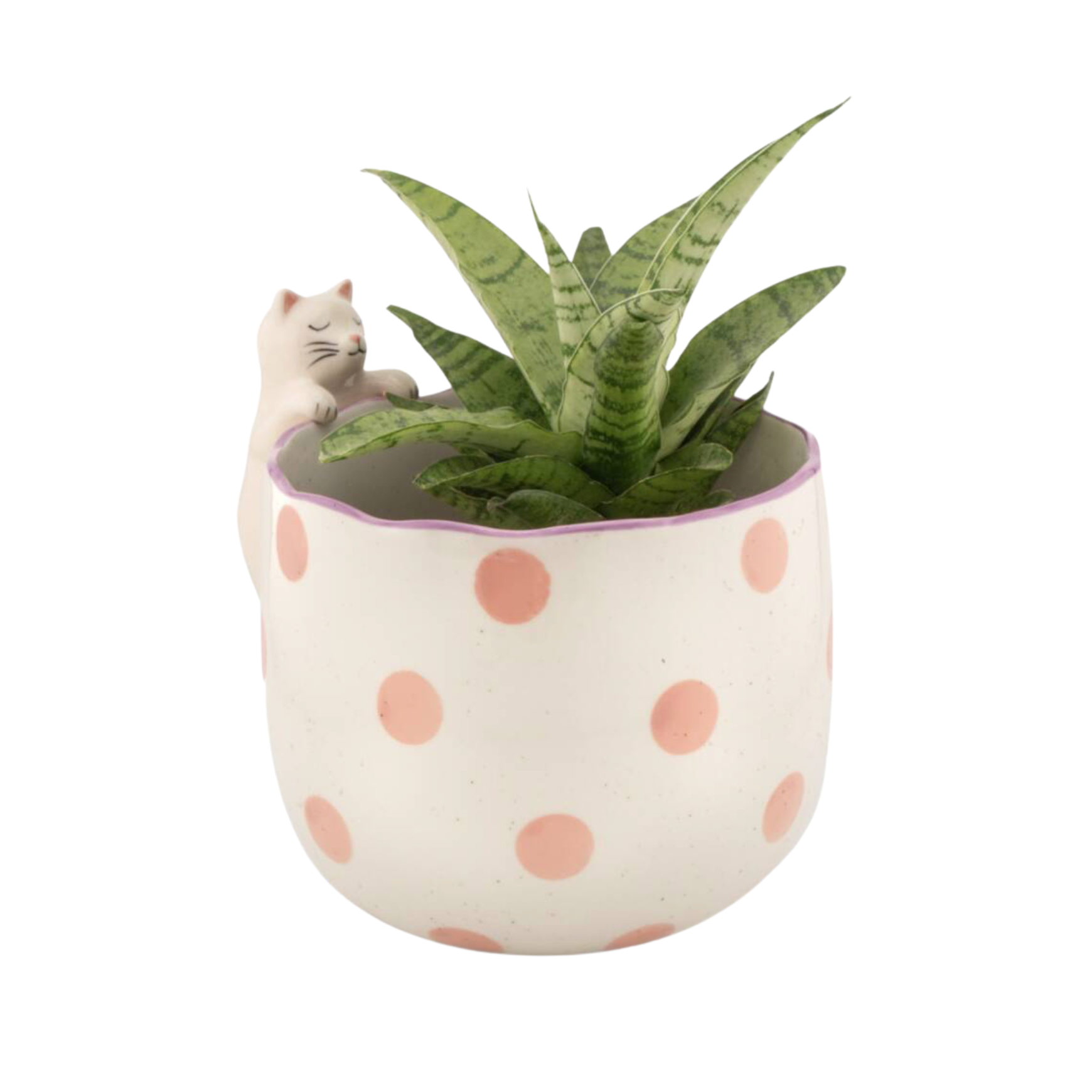 Spotty Peeking Cat Planter product listing screenshot showing price and product details