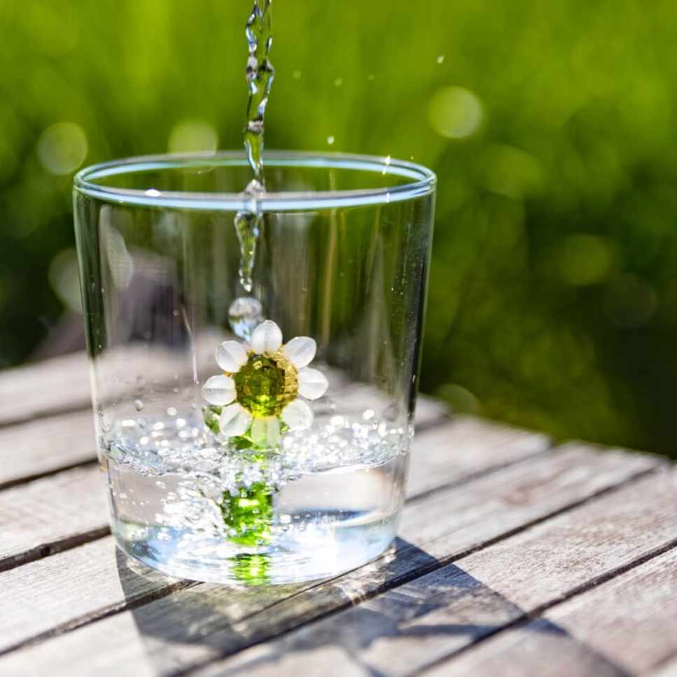 Clear glass tumbler with a white-petalled glass flower on a green stem inside