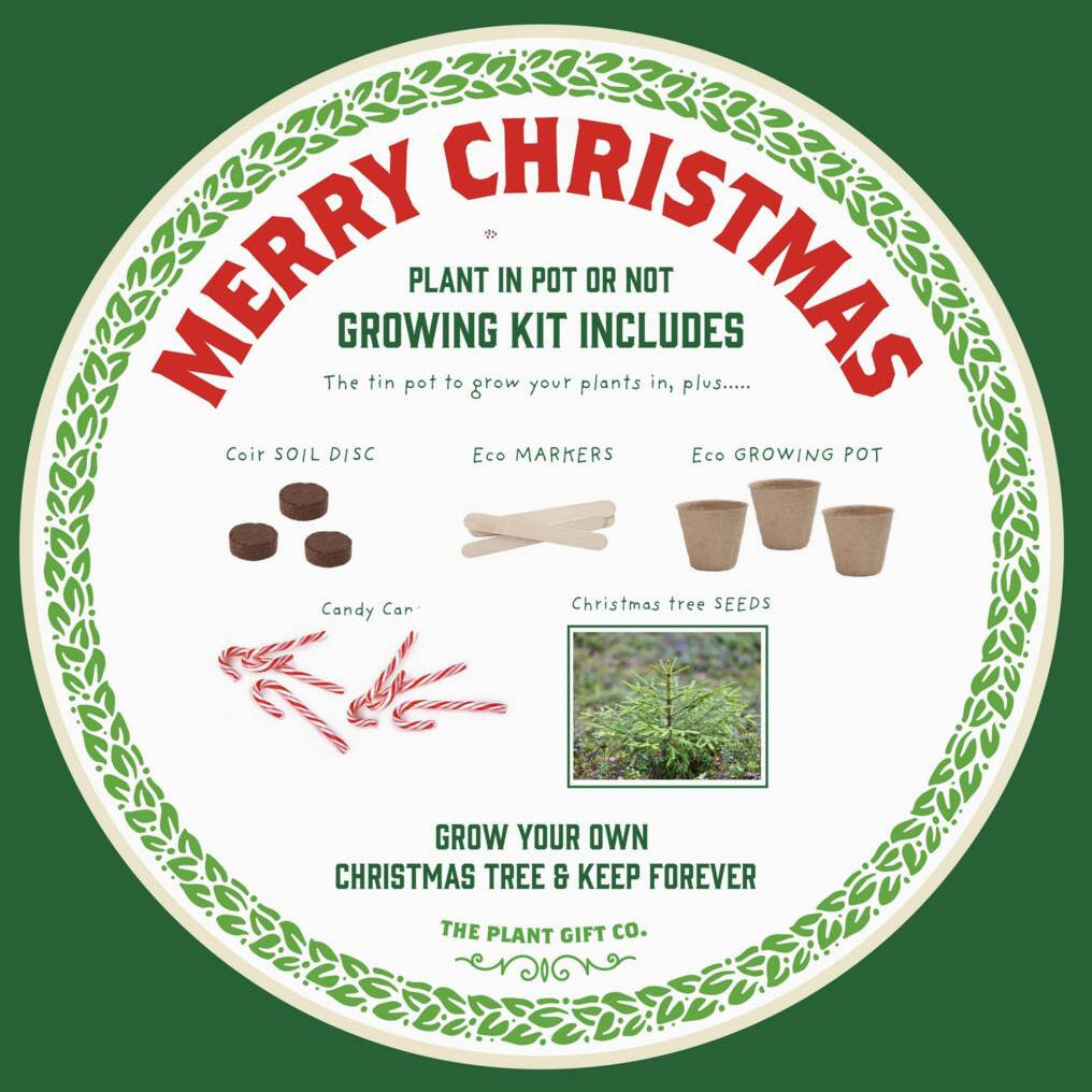 A round white Christmas-themed growing kit instruction card from The Plant Gift Co. on a dark green background.